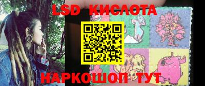 spice Кингисепп