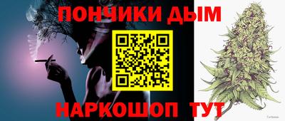 spice Кингисепп