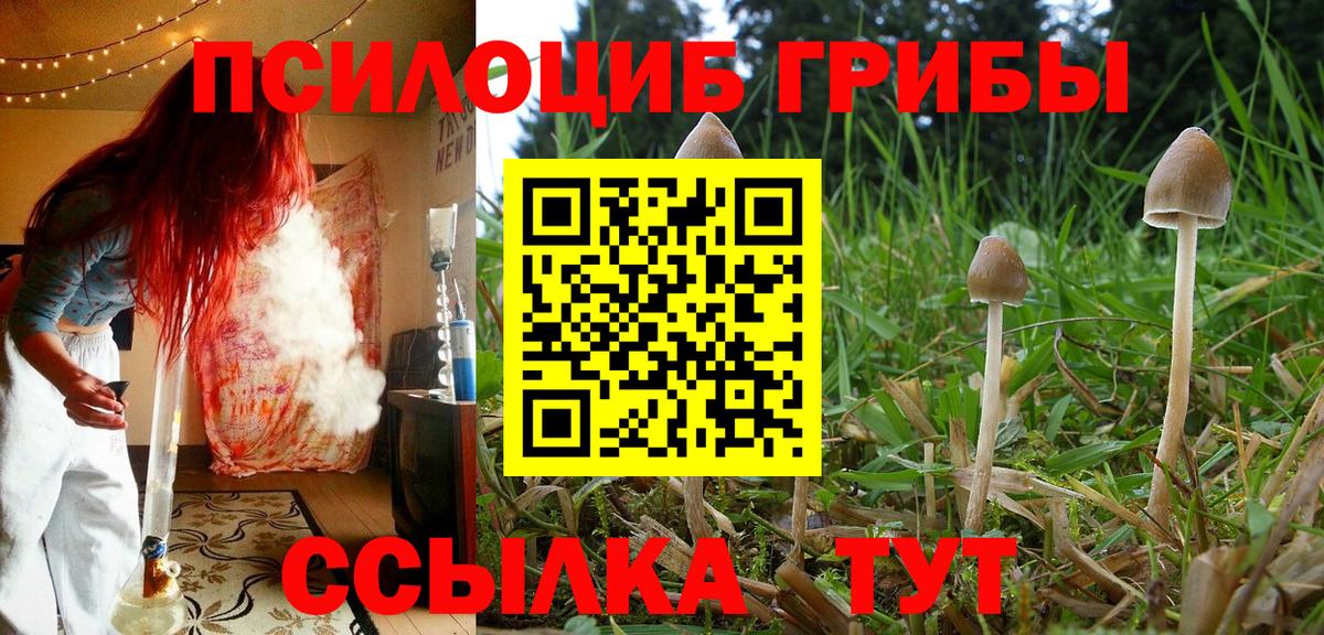 Галлюциногенные грибы Magic Shrooms  Вход с VPN  Лобня 