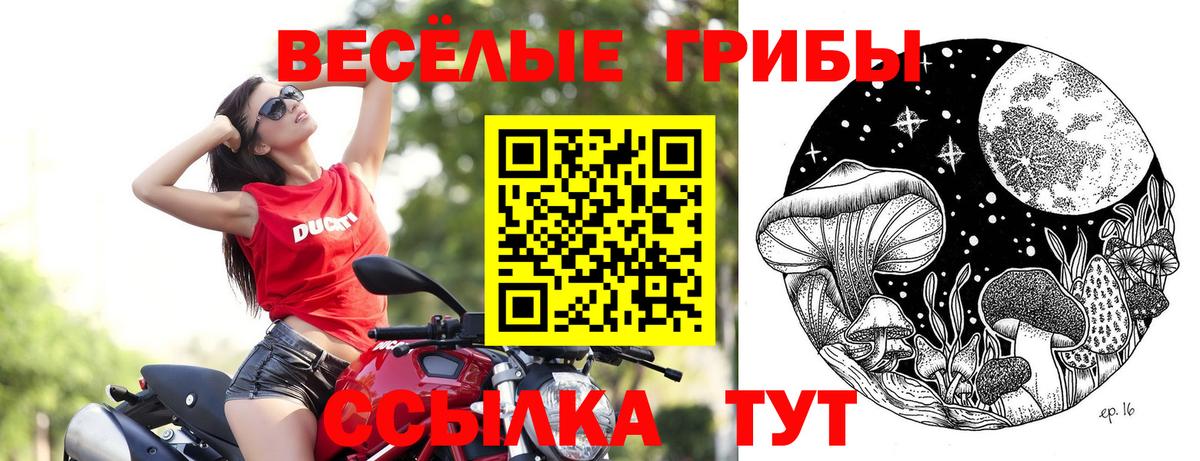 Псилоцибиновые грибы Magic Shrooms Лобня